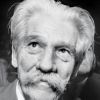 Albert Schweitzer Quotes