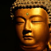 Citas de Buddha