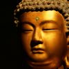 Buddha Quotes