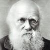 Charles Darwin Quotes