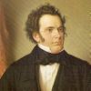 Franz Schubert Quotes